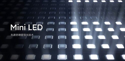 Quest 2 Pro蓄势待发？内部代号